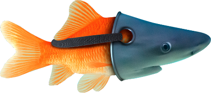 fish solutions